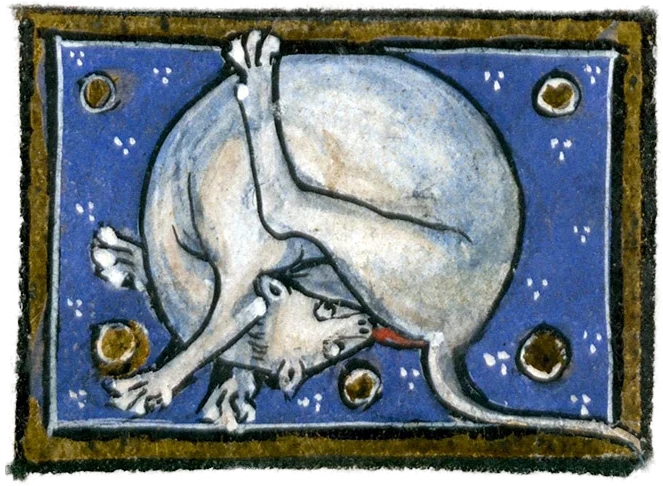 Guillemette de Ventadour