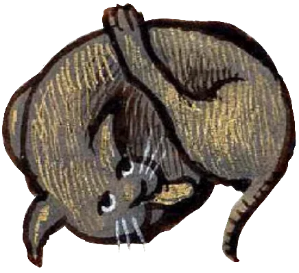 Conchobar mac Dubhthach